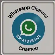 Common Indian Man WhatsApp Channel