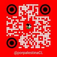Coordinadora por Palestina 🇵🇸 WhatsApp Channel