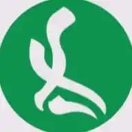 Mundolapalma WhatsApp Channel