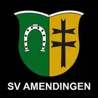 SV AMENDINGEN FUßBALL WhatsApp Channel