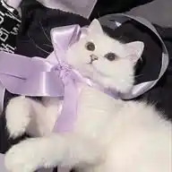 cute things🌸🌷(BACA DESKRIPSI) 🥰 WhatsApp Channel