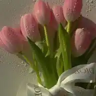 اسلام WhatsApp Channel