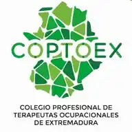 COPTOEX WhatsApp Channel