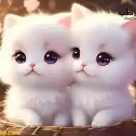 cutey. كيوتي WhatsApp Channel