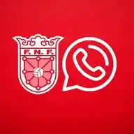Federación Navarra de Fútbol WhatsApp Channel