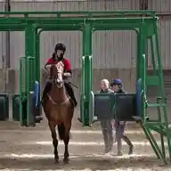 Irish Racing Jobs WhatsApp Channel