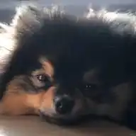 Kim Taehyung WhatsApp Channel