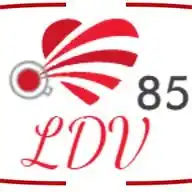 LDV85 WhatsApp Channel