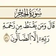 للّٰهِ سَعْـيِّنا.! 💚 WhatsApp Channel