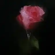 𝙼𝚢 𝚕𝚒𝚏𝚎..✞︎ WhatsApp Channel