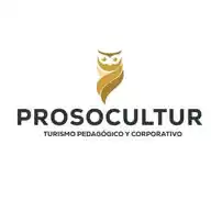 Prosocultur Eventos WhatsApp Channel