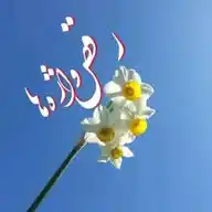 💥#رقص_واژه‌ها💥 WhatsApp Channel