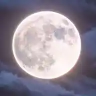 توضيح الصور القديمه WhatsApp Channel