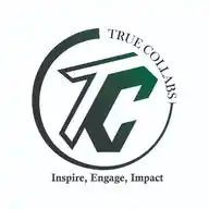 True Collabs (Influencers) WhatsApp Channel