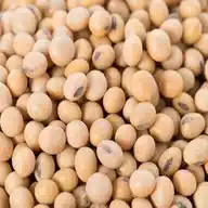 All Agricultural Commodities From the  East, Central, North and South Africa WhatsApp Channel