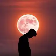 All Entertainment WhatsApp Channel