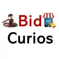 BidCurios, Collectibles And More WhatsApp Channel