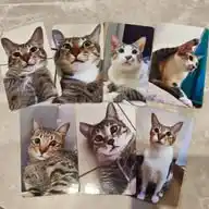 Bub N Gang,, WhatsApp Channel