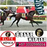 ÉLITE HÍPICA 🏇 🇻🇪 🇺🇲 WhatsApp Channel