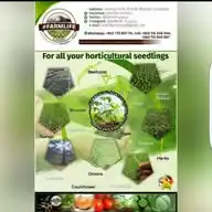 FARMLIFE NURSERY WhatsApp Channel