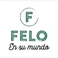 Felo WhatsApp Channel
