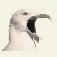 FLOCK WhatsApp Channel