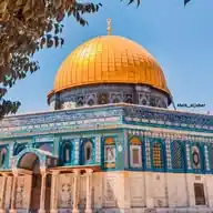 فلسطين حره 🇵🇸 WhatsApp Channel