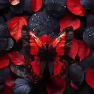 Forever L'Young ❤️‍🔥💔❣️ WhatsApp Channel