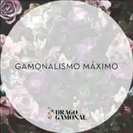 «Gamonalismo Máximo» de Drago Gamonal WhatsApp Channel