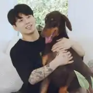 Jeon Jungkook WhatsApp Channel