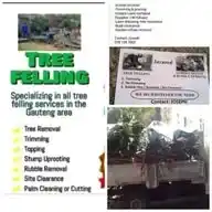 JOSEPH TREEFELLERS WhatsApp Channel