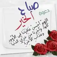 قناه البوستات 🥰🌹❤️ WhatsApp Channel