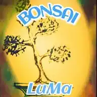 LuMaBonsai & Arte WhatsApp Channel