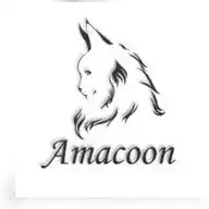 Maine Coon o Gato Gigante - AMACOON WhatsApp Channel