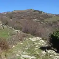 maurizioweb WhatsApp Channel
