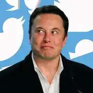 Memes Ruins para Alegrar seu Dia 😁 WhatsApp Channel