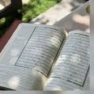 (وَتَزَوَّدُوا فَإِنَّ خَيْرَ الزَّادِ التَّقْوَى)  WhatsApp Channel