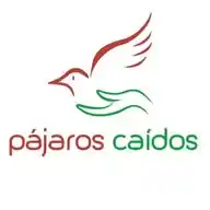 Pajaros Caidos WhatsApp Channel