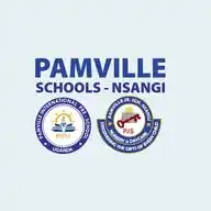 PAMVILLE SCHOOLS NSANGI WhatsApp Channel