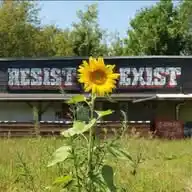 Resist to Exist Festival WhatsApp Channel