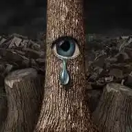 Save Me 🌳🌳 WhatsApp Channel