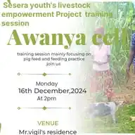 Sesera Youth's Livestock Empowerment Project WhatsApp Channel