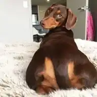 Alcohólicos Drogadictos En Recuperación 🗣🔥💪 WhatsApp Channel