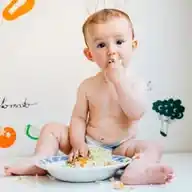 Alimentación complementaria, perceptiva y BLW con Elvia WhatsApp Channel
