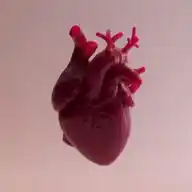 ALL CLINICAL CASES🚑🚑🥼💊💉💉 WhatsApp Channel