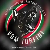 𝔸𝕝𝕝𝕖𝕧𝕒𝕞𝕖𝕟𝕥𝕠 𝕧𝕠𝕞 𝕋𝕠𝕣𝕗𝕚𝕟𝕚 Allevamento e selezione del pastore tedesco da lavoro  WhatsApp Channel