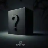 Black Box WhatsApp Channel