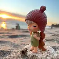 Chips 🐻 WhatsApp Channel