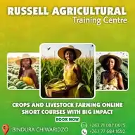 Crops And Livestock Farming Academy WhatsApp Channel