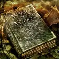 Daily Wisdom WhatsApp Channel